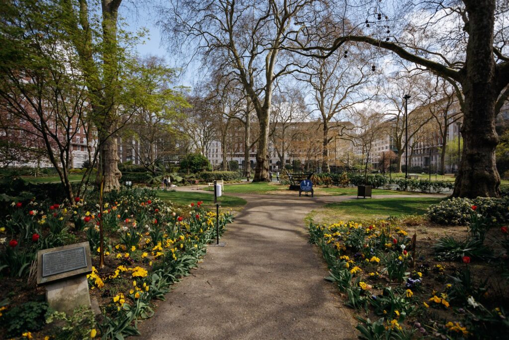 Portman Square Garden