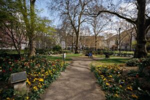 Portman Square Garden